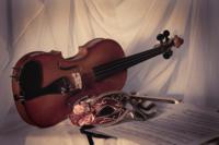 Самоучитель игры на скрипке: Захар Брон