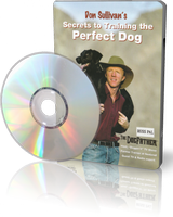 Секреты воспитания идеальной собаки (видео урок)
